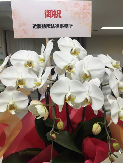 �N�����x�@�i�@���m