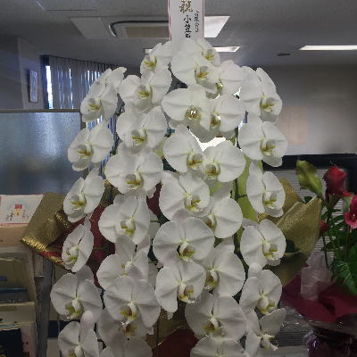 ���i�s�@����